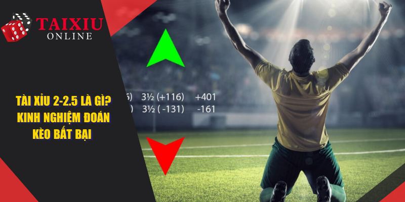 Tài Xỉu 2-2.5 Là Gì? Kinh Nghiệm Đoán Kèo Tài Xỉu Bất Bại