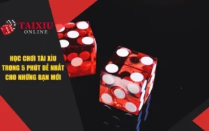 Học Chơi Tài Xỉu Trong 5 Phút Dễ Nhất Cho Những Tân Thủ