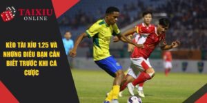 Kèo Tài Xỉu 1.25 - Một Số Điều Cần Biết Trước Khi Đặt Cược