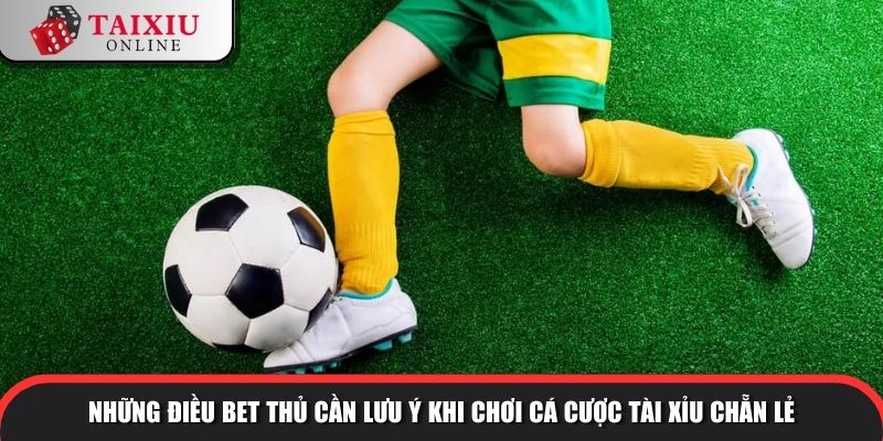 Những điều bet thủ cần lưu ý khi chơi cá cược tài xỉu chẵn lẻ